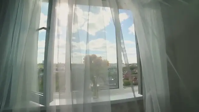 Video thumbnail for Tips for Growing a Kitchen Garden in a Window