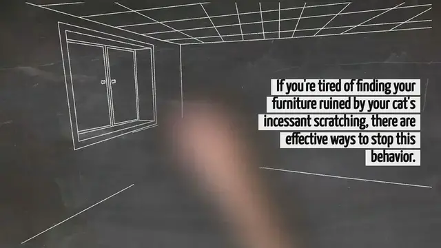 Video thumbnail for How To Stop Cats From Scratching Furniture
