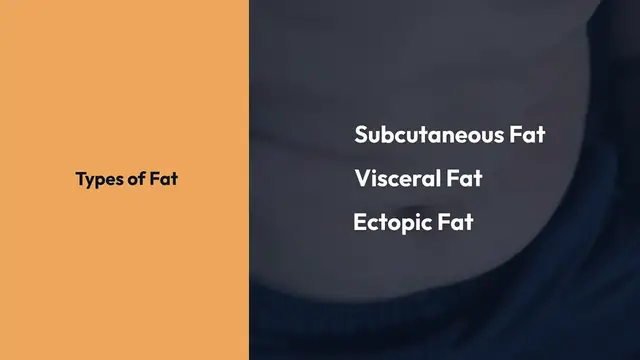 'Video thumbnail for Understanding_Belly_Fat_Types'