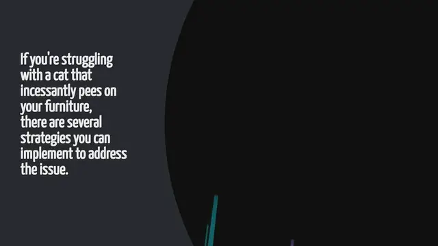 Video thumbnail for How Does Wayfair Deliver Furniture