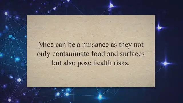 'Video thumbnail for Banishing Pesky Pests: A Guide to Eliminating Mice Under Your Kitchen Sink'