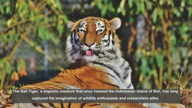 Video thumbnail for 10 Unique Features of the Extinct Bali Tiger