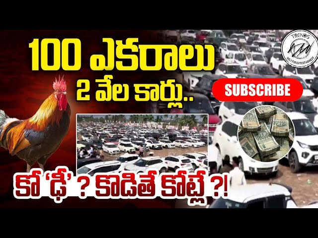 Video thumbnail for Kodi Pandalu in Bhimavaram🐓 #kodipandalu #bhimavaram #henfight #shorts #short #sankranthi #pongal 🐓🐓