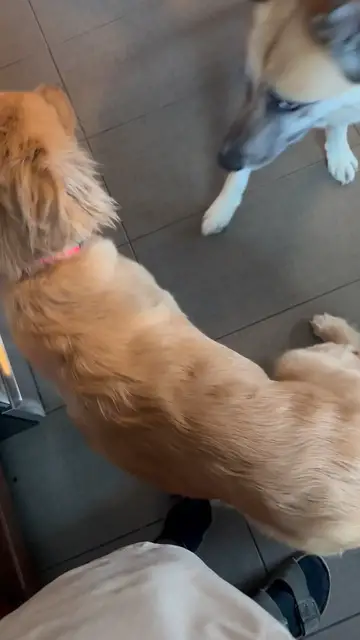 Video thumbnail for upload_video.mp4