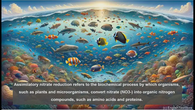 Video thumbnail for Assimilatory nitrate reduction in biology