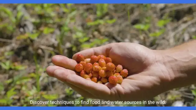 Video thumbnail for Mastering Wilderness Survival Skills