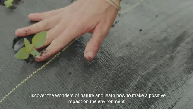 Video thumbnail for Beginner's Guide to Environmental Conservation