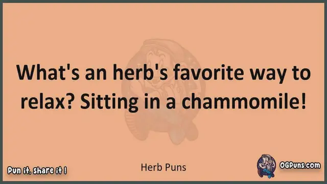 Video thumbnail for Herb - Jokes, Puns, Wordplays, and Laughter