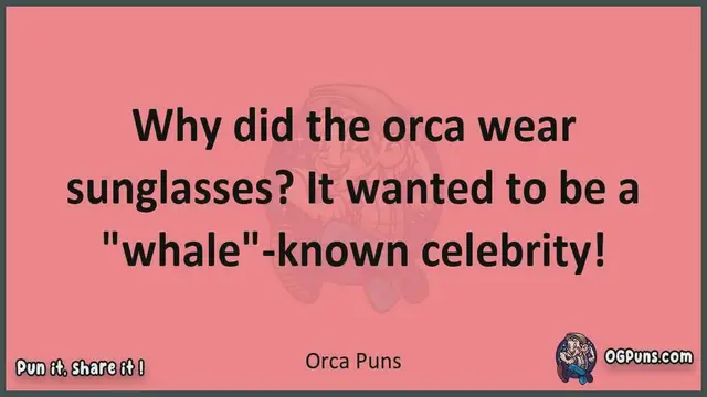 Video thumbnail for Orca - Jokes, Puns, Wordplays, and Laughter