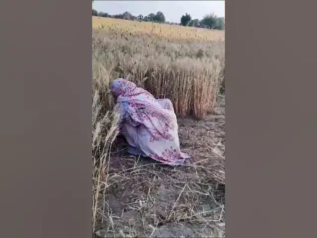 Video thumbnail for आ जाओ लावनी आगी #happy_lokgeet #viral #shortvideo