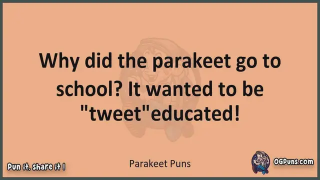 Video thumbnail for Parakeet - Jokes, Puns, Wordplays, and Laughter