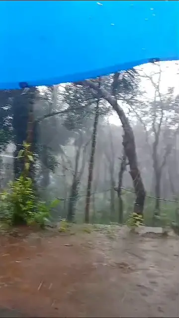 'Video thumbnail for മാതാമംഗലം പെരുവാമ്പ മഴ 02/10/24'