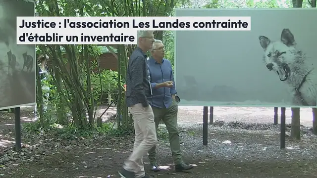 'Video thumbnail for OBC. Justice : l’association Les Landes contrainte d’établir un inventaire'