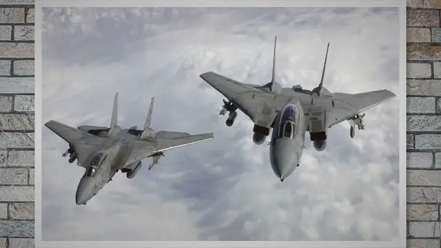 'Video thumbnail for Grumman F-14 Tomcat – The Big Cat with 2 Terrible Engines'
