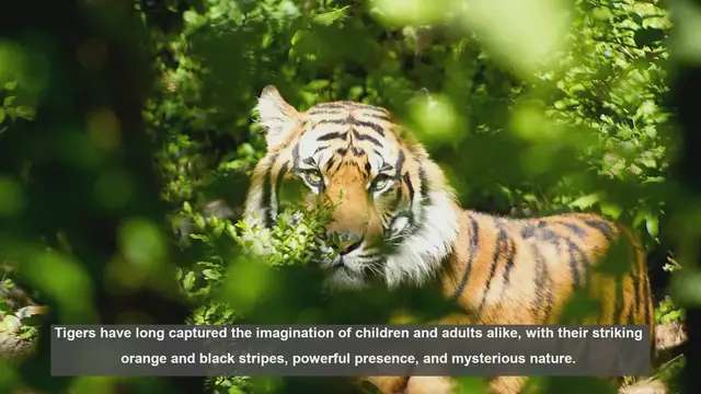 Video thumbnail for Top 10 Tigers in Children’s Literature