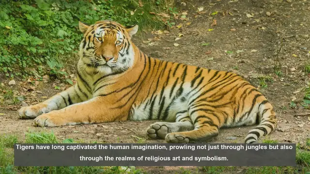Video thumbnail for 10 Striking Examples of Tigers in Religious Art