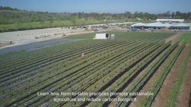 Video thumbnail for Farm-to-Table Movements and Local Food Production