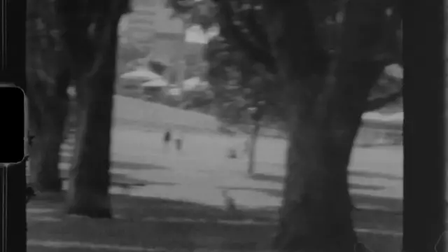 Video thumbnail for The Psychology of Immature Masculinity  Niccolò Machiavelli - 720