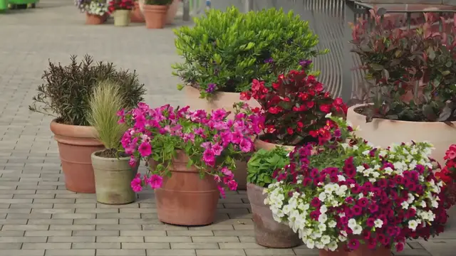 Video thumbnail for Patio garden design ideas