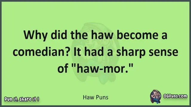 Video thumbnail for Haw - Jokes, Puns, Wordplays, and Laughter