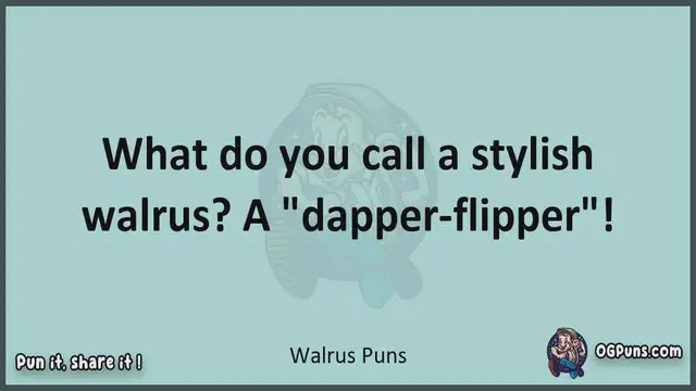 Video thumbnail for Walrus - Jokes, Puns, Wordplays, and Laughter