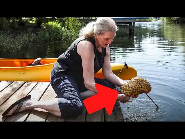 Video thumbnail for Wife Fishes Strange Thing out of Water – When Her Husband Sees it, He Screams Loudly