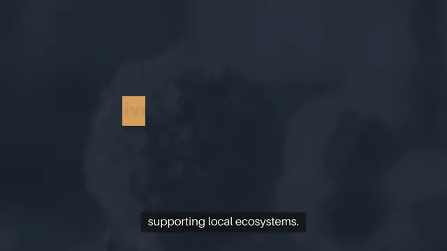 Video thumbnail for How to Attract Pollinators to Your Patio Garden