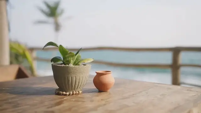 Video thumbnail for DIY patio garden decorations