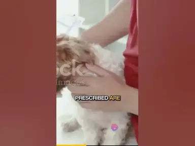 'Video thumbnail for How to treat Lyme disease in your pet'