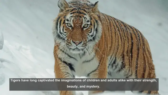 Video thumbnail for Top 10 Tiger Illustrations in Children's Books