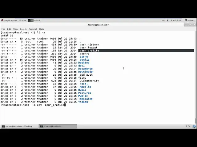 Video thumbnail for Linux - Variables