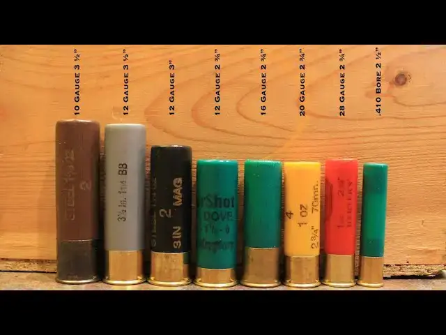 'Video thumbnail for Shotgun Gauges: The Ultimate Guide To 12 Gauge, 16 Gauge, 20 Gauge, 28 Gauge, and 410 Bore Sizes'
