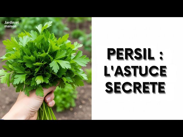 Video thumbnail for Ne Ratez PLUS votre Persil ! 5 Astuces de Pro pour le Jardin