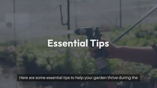 Video thumbnail for Seasonal Outdoor Gardening Tips for Summer