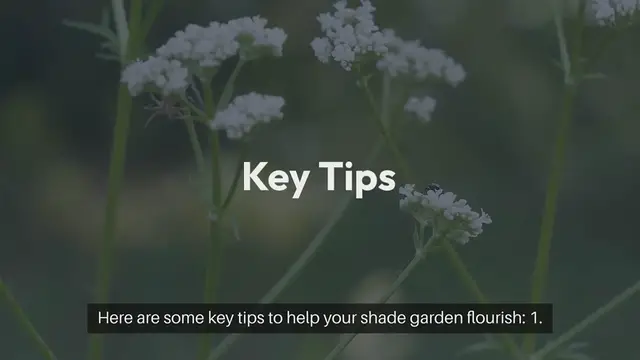 Video thumbnail for Outdoor Gardening Tips for Shade-Loving Plants