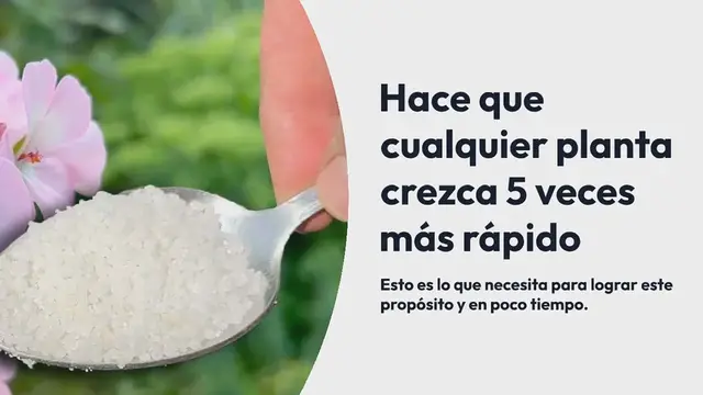 'Video thumbnail for No lo creerás pero hace que cualquier planta o flor crezca 5 veces más rápido'