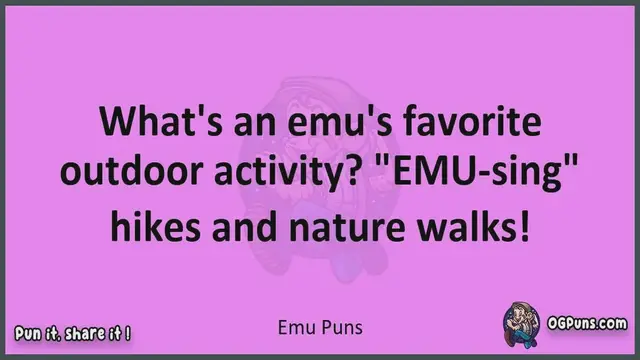 Video thumbnail for Emu - Jokes, Puns, Wordplays, and Laughter