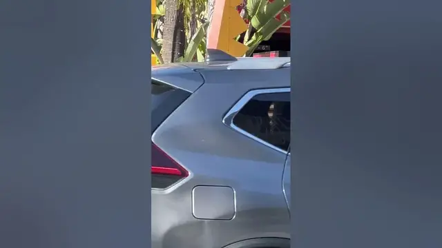 Video thumbnail for WeHo West Hollywood Security Ambassador falls asleep on the job