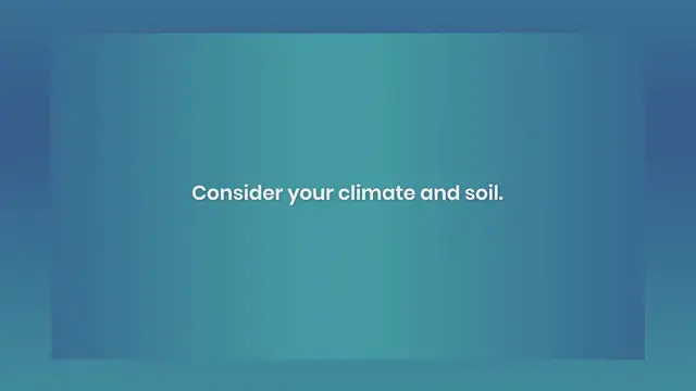 Video thumbnail for The Ultimate Guide to Growing Nut Trees