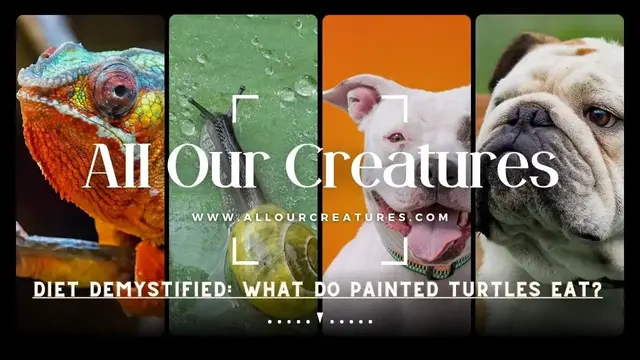 'Video thumbnail for Shell Growth Unveiled: Do Snails Grow Their Shells?'