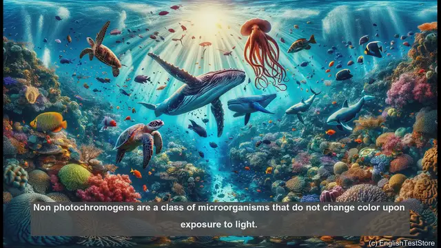 Video thumbnail for Non photochromogen in biology