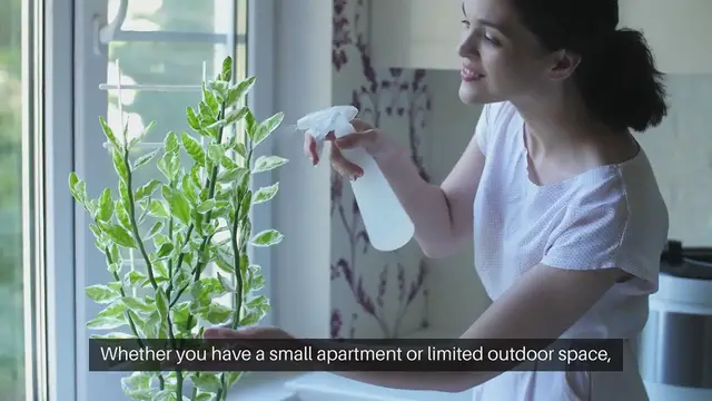 Video thumbnail for Growing Herbs Indoors for Your Patio Garden