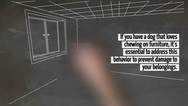 Video thumbnail for How To Get A Dog To Stop Chewing On Furniture