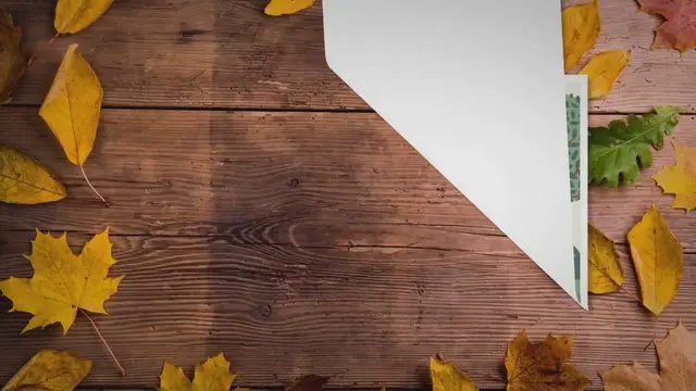 Video thumbnail for Canadian Maple Vs Japanese Maple: Which One Is Right For Your Garden? | SARPO