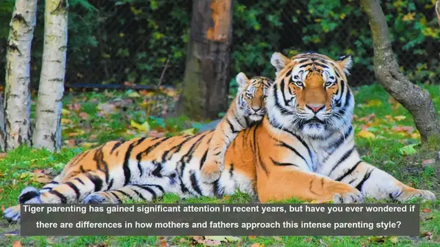 Video thumbnail for 10 Key Differences Between Tiger Moms and Tiger Dads