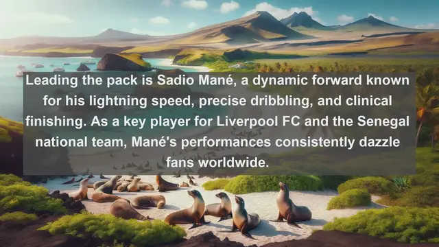 Video thumbnail for Senegalese Stars: Top 10 Football Players Who Rule the Pitch