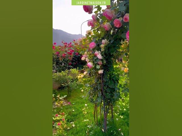 Video thumbnail for Bienvenue au paradis