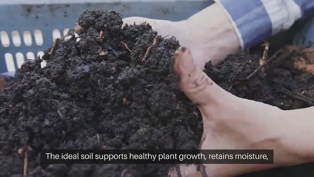 Video thumbnail for Best Soil For Your Vegetable Garden