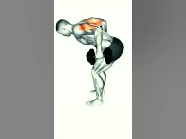 Video thumbnail for #motivation #olympia #music #sports #aerobic #الاجسام #body_building #fitness #shoulder #gym