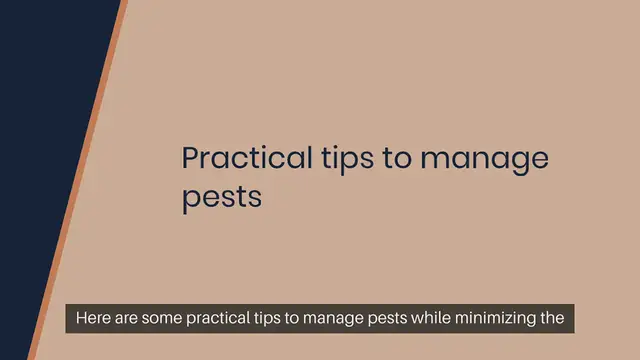 Video thumbnail for Garden Pest Control Tips